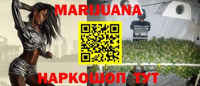 сатива Моздок