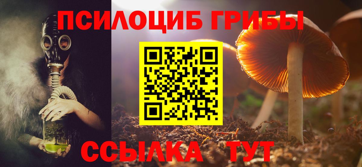 Чистополь  Псилоцибиновые грибы ЛСД  Вход с VPN 